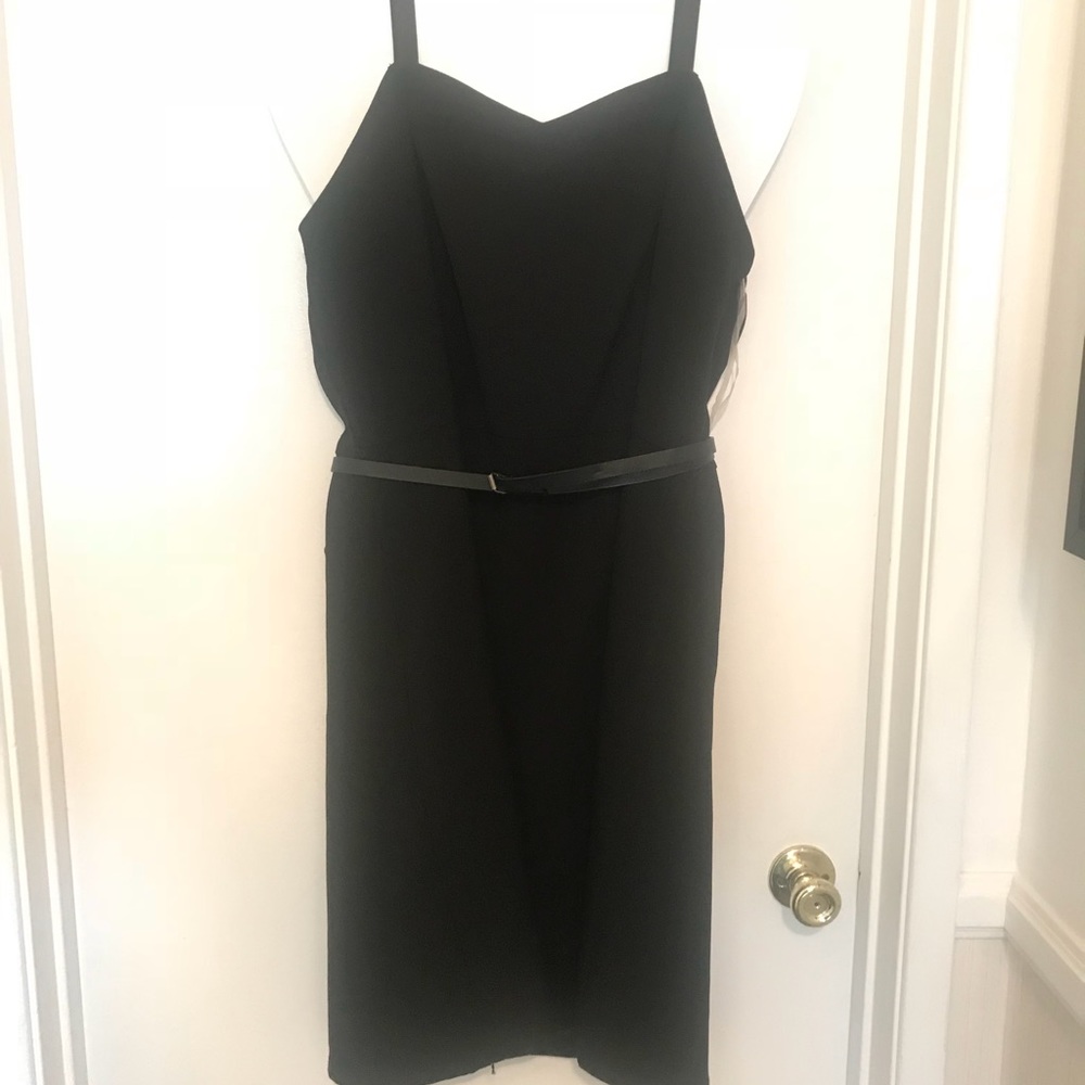 Lane Bryant LBD
